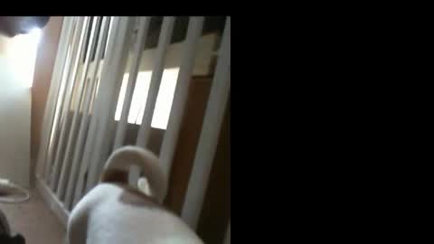 Snapshot of 10mm_socket chatting on 02.11.26 10mm_socket online show from 02.11.26