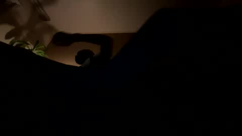 11rastamilkdudbbc online show from 03.21.26