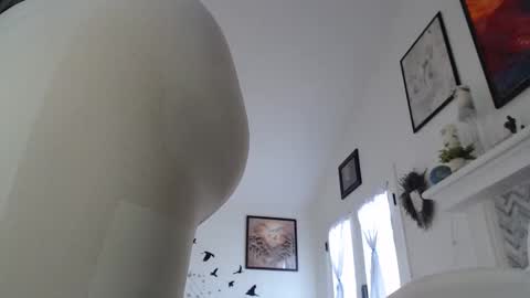 Aurora Willows online show from 01.19.26