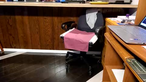 Brianna online show from 01.04.25