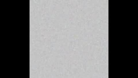 2001spidernico online show from 01.02.25