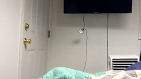 Snapshot of 20yrold2001 chatting on 03.17.26 20yrold2001 online show from 03.17.26