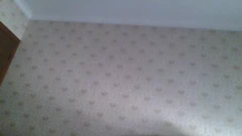 23player online show from 04.22.26