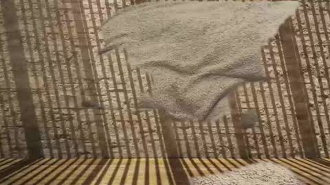 Snapshot of 2hairrypigs chatting on 01.31.26 2hairrypigs online show from 01.31.26