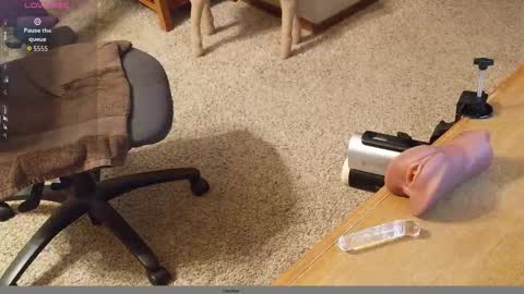 Snapshot of 2tiredoftoys chatting on 11.22.25 2tiredoftoys online show from 11.22.25