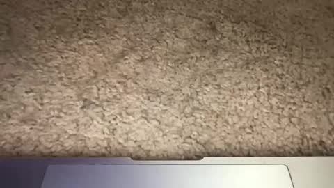 Snapshot of 3dging_sub chatting on 03.13.26 3dging_sub online show from 03.13.26