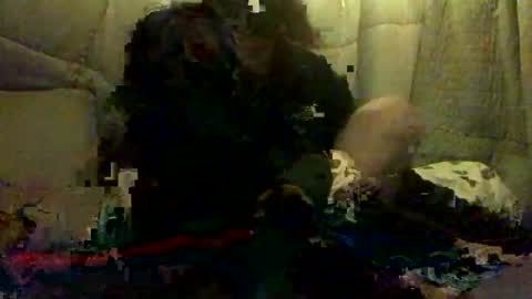Snapshot of 420alwayshard chatting on 04.19.26 420alwayshard online show from 04.19.26