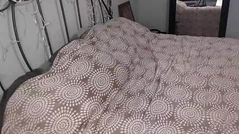 Snapshot of 420kc_couple chatting on 05.30.26 KC420Couple online show from 05.30.26