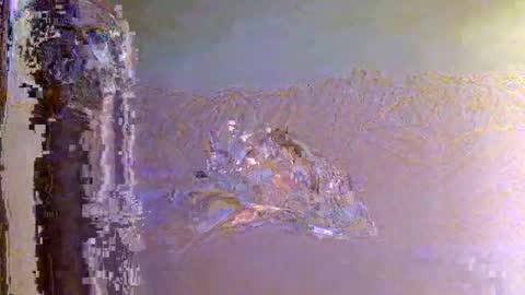 Snapshot of 60zeus60 chatting on 11.01.25 Zeus online show from 11.01.25