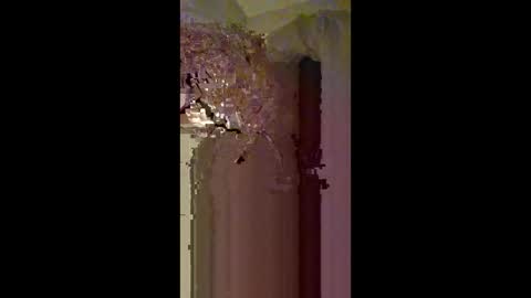 Snapshot of 60zeus60 chatting on 02.22.26 Zeus online show from 02.22.26