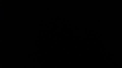 SHANNON online show from 12.11.24