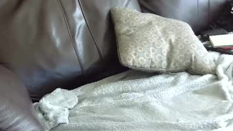 66bear online show from 01.31.25