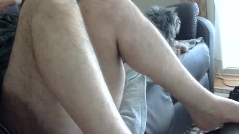 66bear online show from 03.01.25