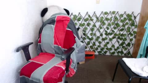 Snapshot of 69_tania_santos chatting on 01.07.25 69 tania santos online show from 01.07.25