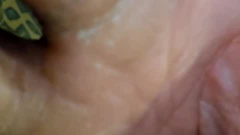 Snapshot of 69dick_fitzwell69 chatting on 12.07.24 HUGH G RECTION online show from 12.07.24