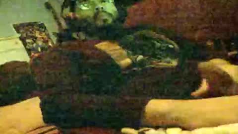 6instraighter7 online show from 11.03.25