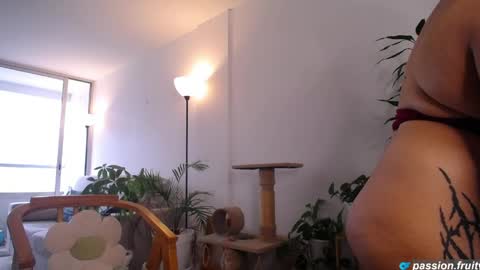 6nalanie online show from 05.02.26
