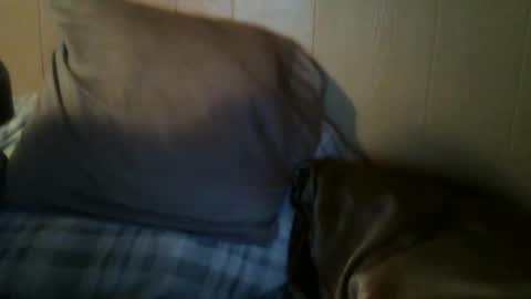 8675309r2d2 online show from 09.30.25