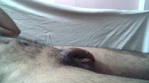 Snapshot of 9_incher_83 chatting on 05.23.26 Massive hungry cock online show from 05.23.26