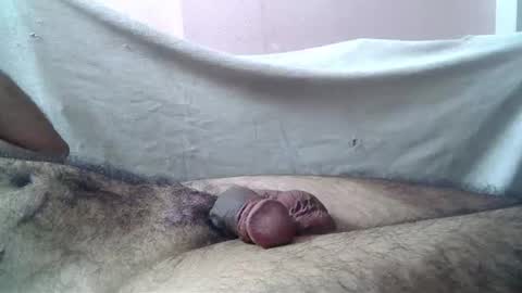 Massive hungry cock online show from 07.08.26