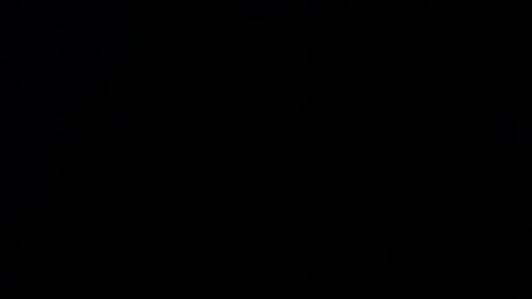 Snapshot of _aafrodita__ chatting on 11.26.25 Alexa online show from 11.26.25