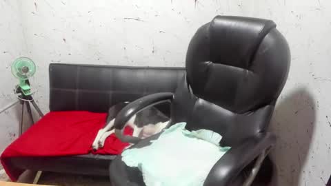 Snapshot of _ace_ventura chatting on 03.07.26 ---- online show from 03.07.26