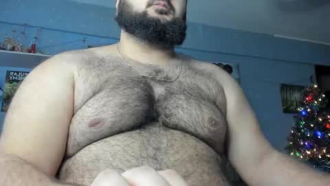 Snapshot of _alan_bear_ chatting on 01.16.25 Alan online show from 01.16.25