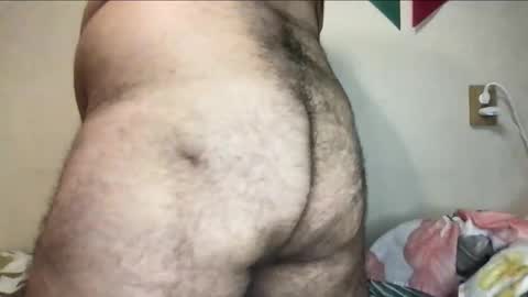 Snapshot of _alan_bear_ chatting on 11.03.25 Alan online show from 11.03.25