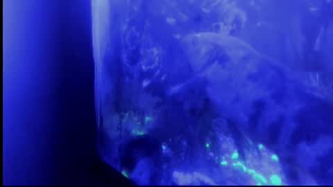 Snapshot of _always__horny chatting on 10.29.25 Giulia...... online show from 10.29.25