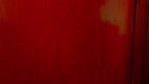 Snapshot of _aniisha_ chatting on 10.01.25 Any online show from 10.01.25