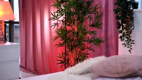 Arielle online show from 12.28.24