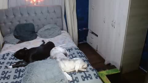 Snapshot of _azalea_65 chatting on 09.11.25 _azalea_65 online show from 09.11.25