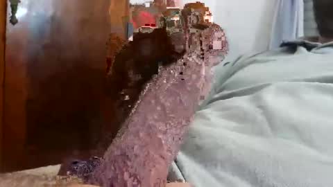 Snapshot of _black_horse_1 chatting on 12.04.25 _black_horse_1 online show from 12.04.25