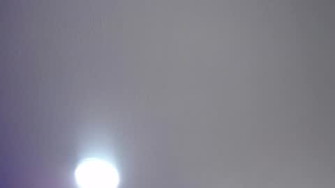 _charlotte_collins_ online show from 07.17.26