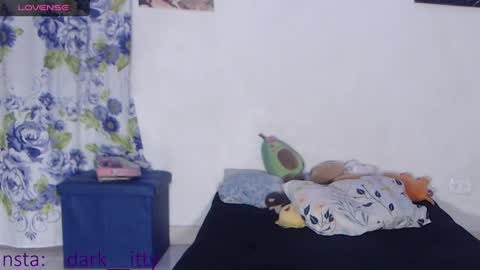 Snapshot of _darkitty_ chatting on 01.15.25 Darkitty online show from 01.15.25