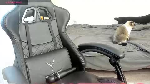 Alis online show from 10.07.25