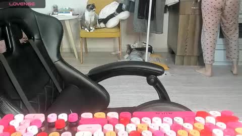 Alis online show from 03.02.26