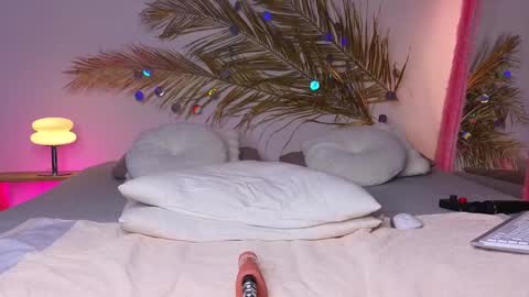 Snapshot of _ho11y_ chatting on 01.31.25 Holly online show from 01.31.25