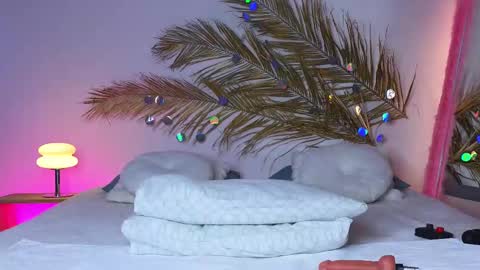 Snapshot of _ho11y_ chatting on 02.20.25 Holly online show from 02.20.25