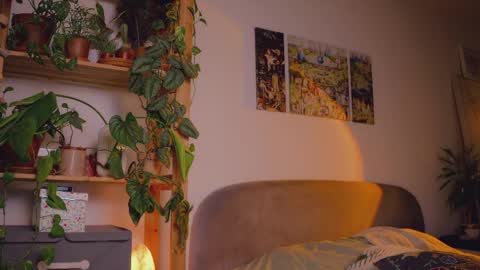 Snapshot of _lightmyfire chatting on 06.09.26 Salome Lovense always on from 5 tk My content and your custom requests online show from 06.09.26