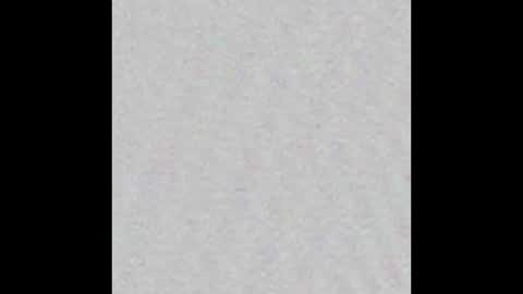 _maccaa_ online show from 02.02.26