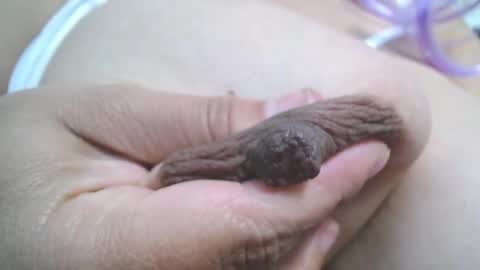  Mia  online show from 03.07.25