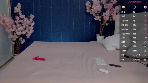 Snapshot of _mirror_girl chatting on 02.19.25 Victoria online show from 02.19.25