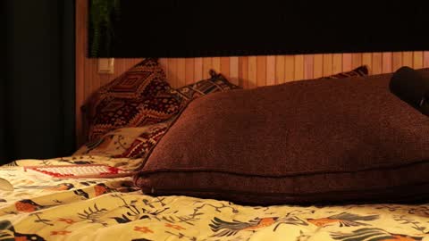 Lady Jess from house of Dragonborns online show from 01.21.25