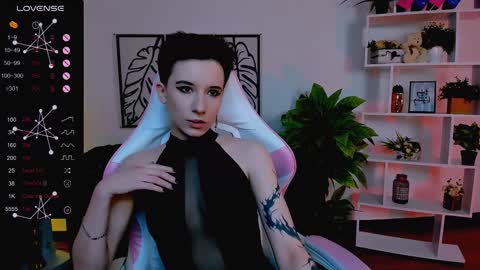 Rein online show from 02.08.25