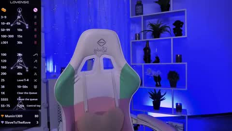 Rein online show from 05.01.26