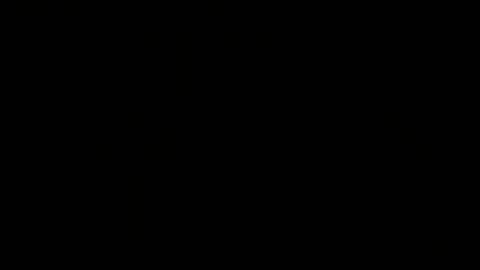 Melisa online show from 02.20.25