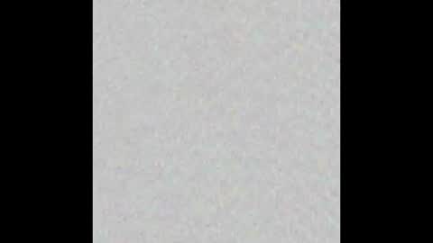 _tammarra_ online show from 01.06.26