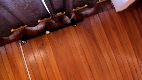 Snapshot of aaron_whitee chatting on 12.21.24 Aaron online show from 12.21.24