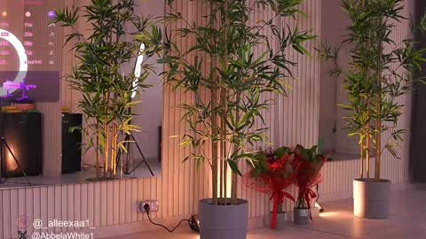 Alexa online show from 02.03.25